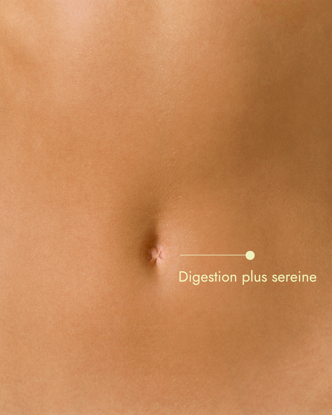 Pack duo digestion ventre plat