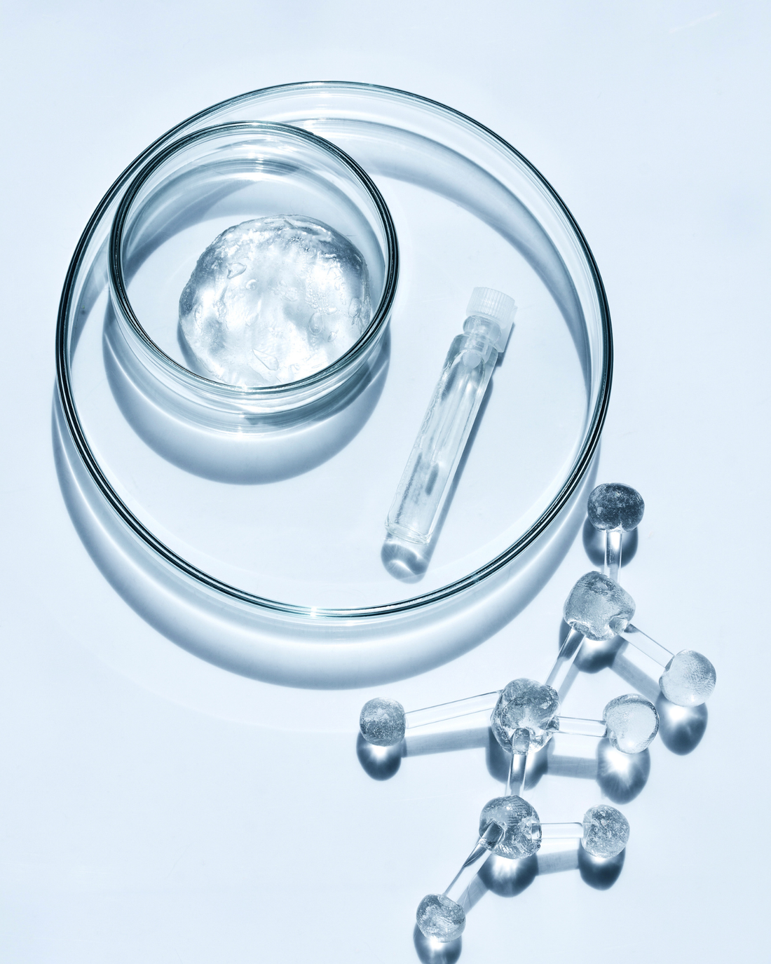 Lactobacillus acidophilus : le probiotique essentiel pour la digestion, le microbiote et l’immunité