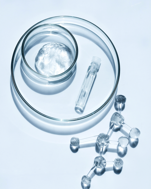 Lactobacillus acidophilus : le probiotique essentiel pour la digestion, le microbiote et l’immunité