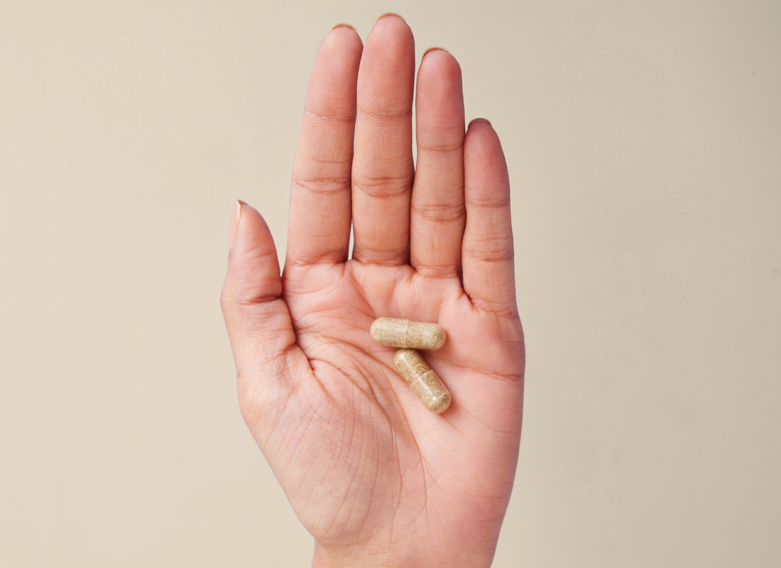 Lactobacillus plantarum : le probiotique polyvalent pour la digestion, le microbiote et l’immunité