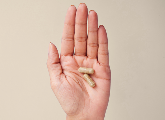 Lactobacillus plantarum : le probiotique polyvalent pour la digestion, le microbiote et l’immunité