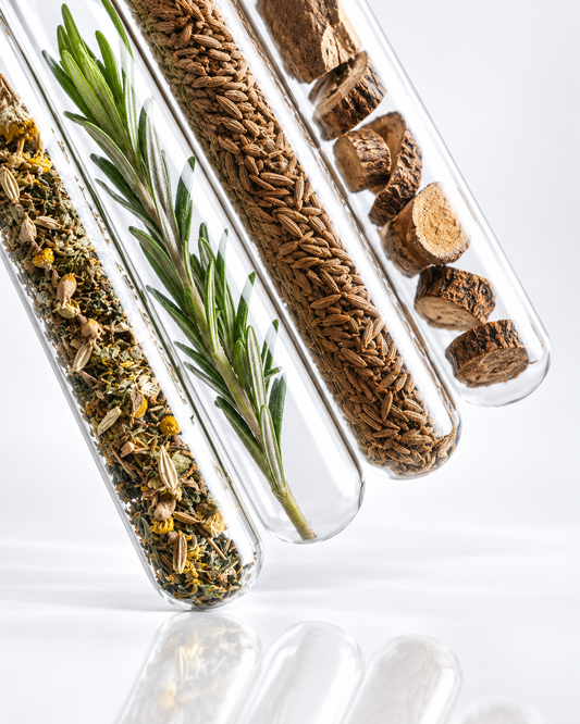 Infusion Détox